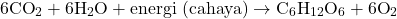 \[ 6 \text{CO}_2 + 6 \text{H}_2\text{O} + \text{energi (cahaya)} \rightarrow \text{C}_6\text{H}_{12}\text{O}_6 + 6 \text{O}_2 \]