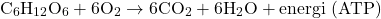 \[ \text{C}_6\text{H}_{12}\text{O}_6 + 6 \text{O}_2 \rightarrow 6 \text{CO}_2 + 6 \text{H}_2\text{O} + \text{energi (ATP)} \]