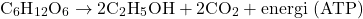 \[ \text{C}_6\text{H}_{12}\text{O}_6 \rightarrow 2 \text{C}_2\text{H}_5\text{OH} + 2 \text{CO}_2 + \text{energi (ATP)} \]